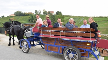 A ride with the new e-carriage at the Old Vine Festival in Maribor - 17 September 2020